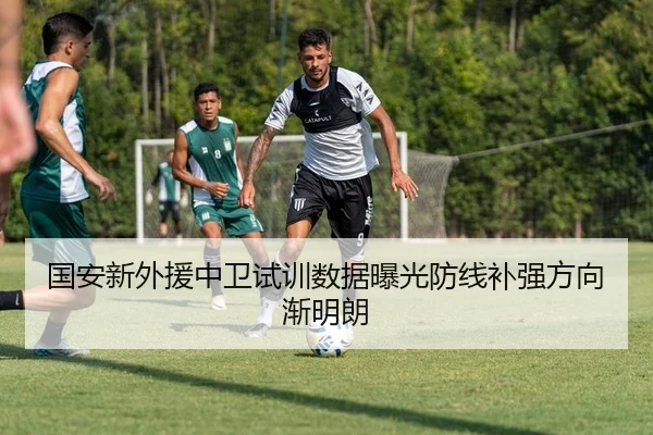 国安新外援中卫试训数据曝光防线补强方向渐明朗